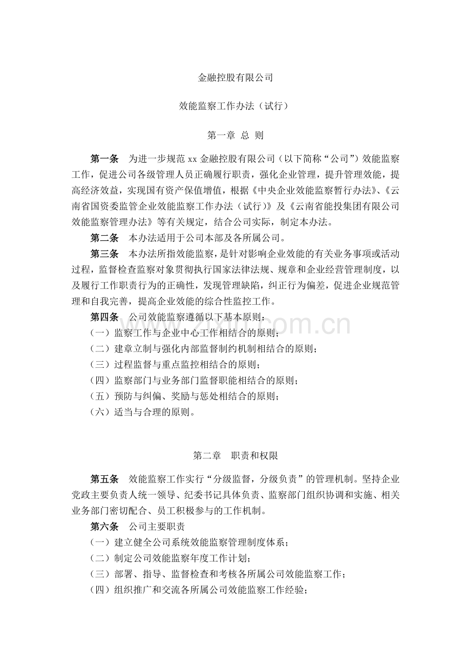 金融控股公司效能监察工作办法(试行)模版.docx_第1页