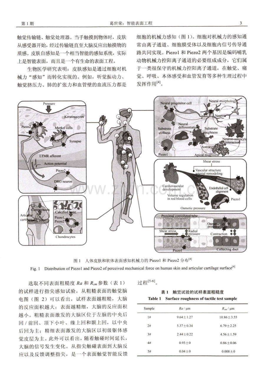 智能表面工程.pdf_第3页