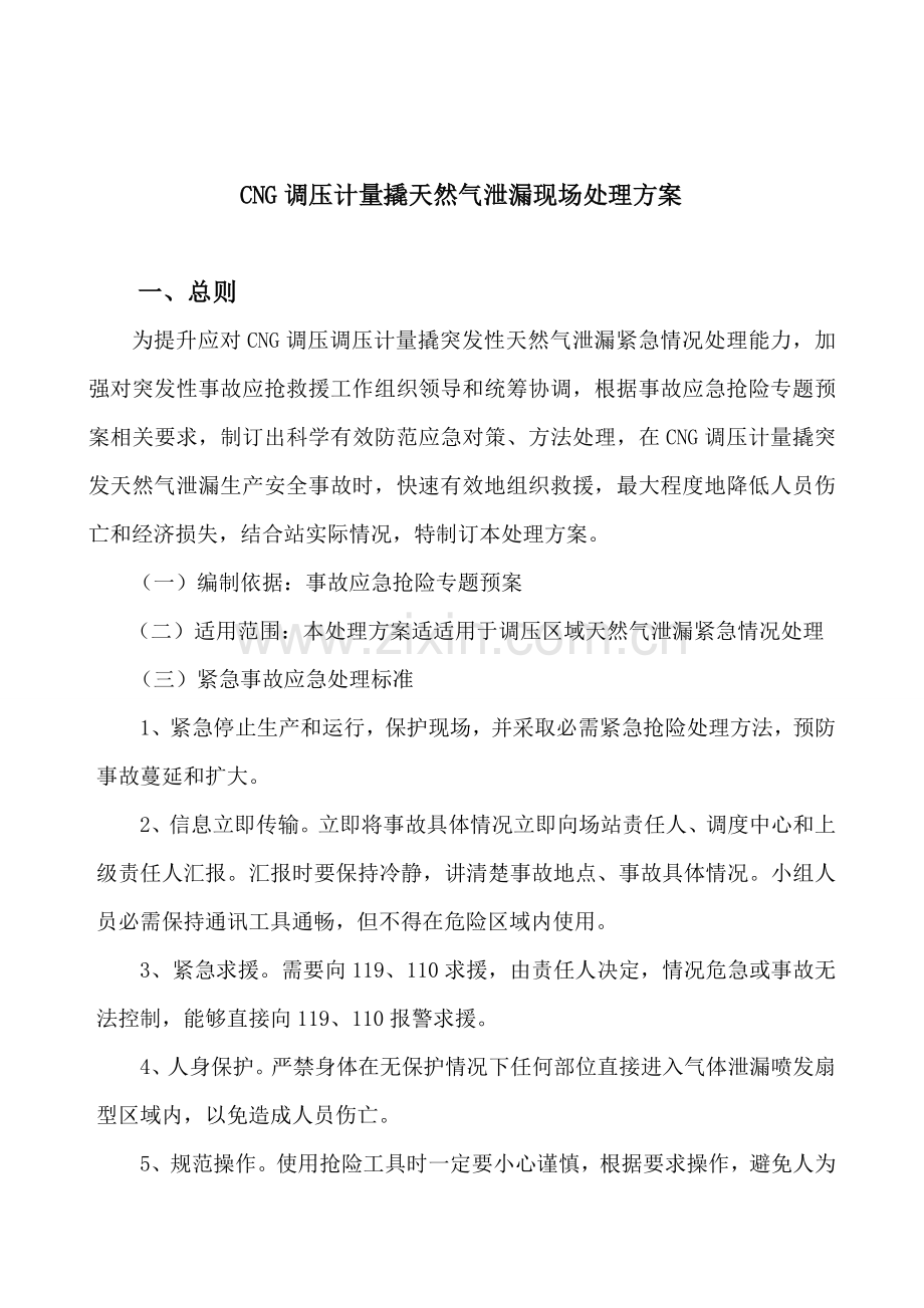 CNG调压计量撬系统天然气泄漏现场处置专项方案剖析.doc_第1页