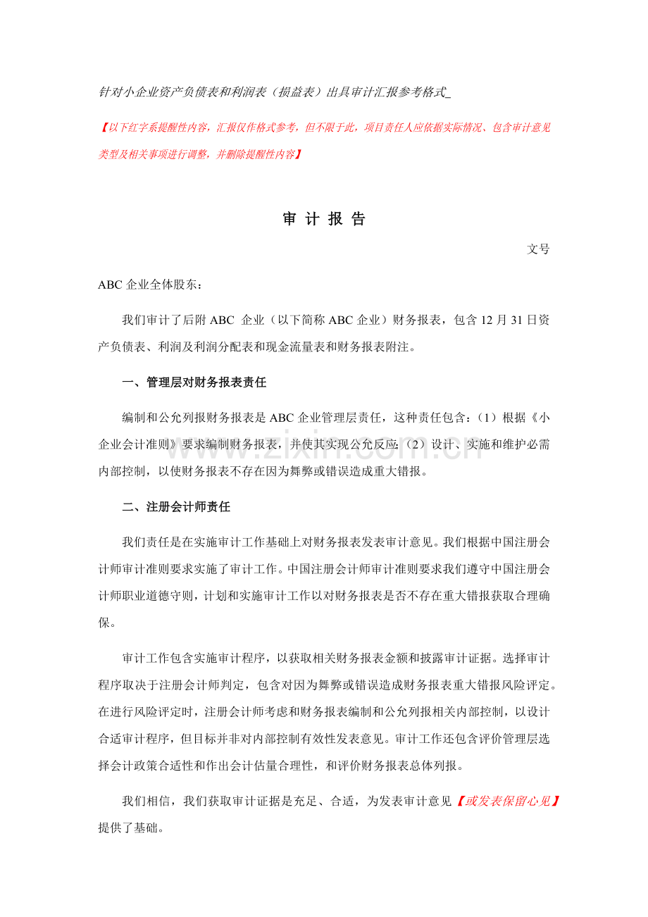 执行小企业会计准则财务报表审计综合报告及报表附注参考格式.docx_第1页