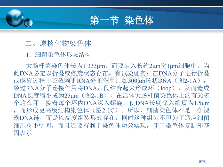 分子生物学基础PPT省公共课一等奖全国赛课获奖课件.pptx_第3页