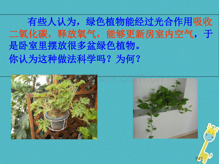 七年级生物上册第三单元第五章第二节绿色植物的呼吸作用讲义1市公开课一等奖百校联赛特等奖大赛微课金奖P.pptx_第2页