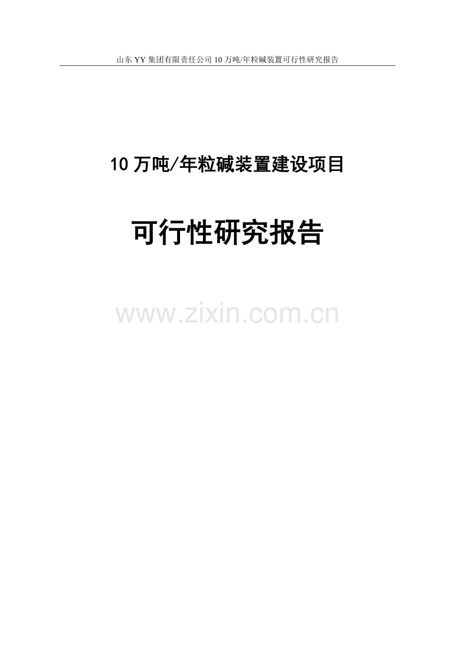 年产10万年粒碱装置项目可行性研究报告含财务表.doc_第1页