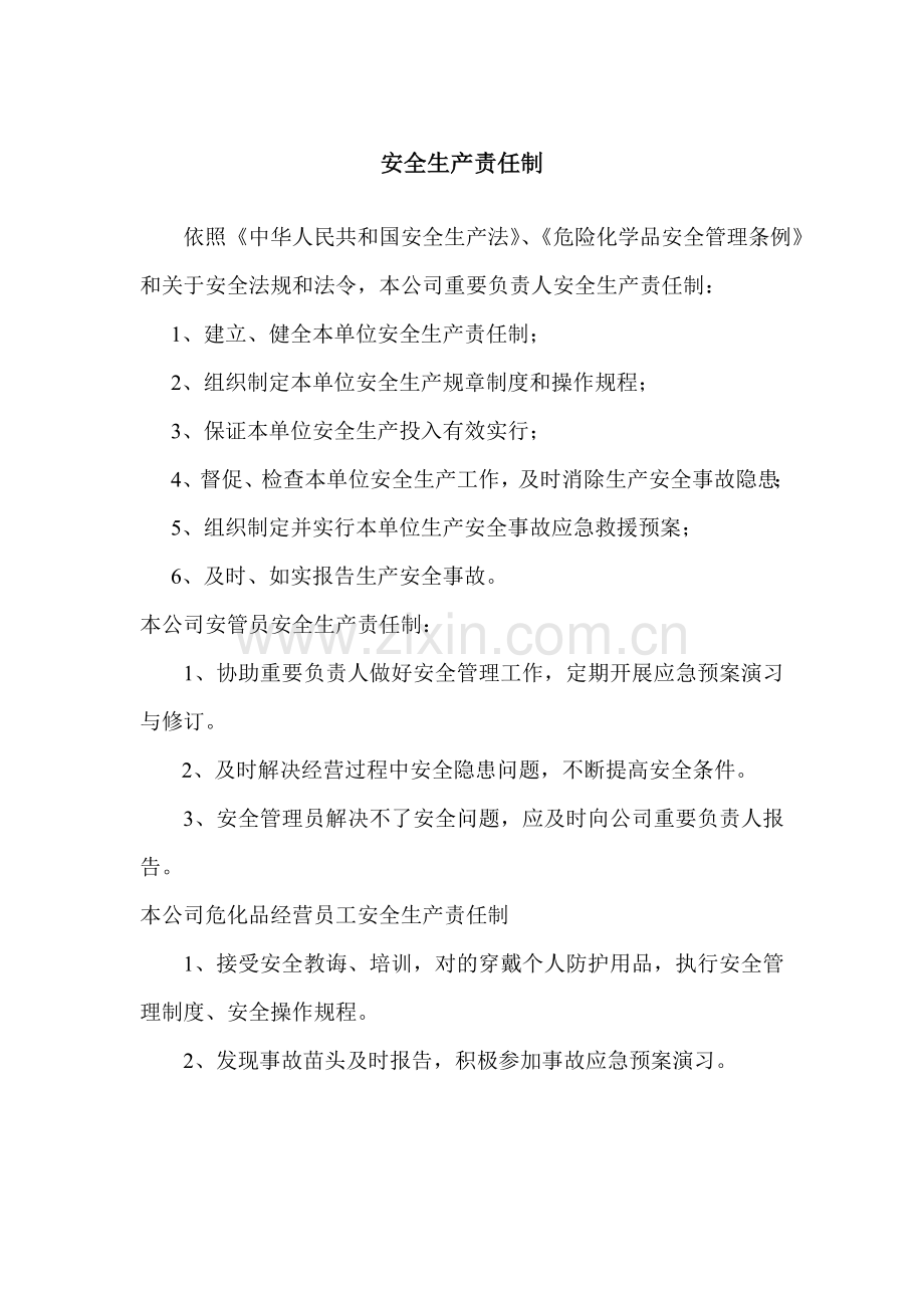 公司安全生产责任制项新规制度详细规定.doc_第3页