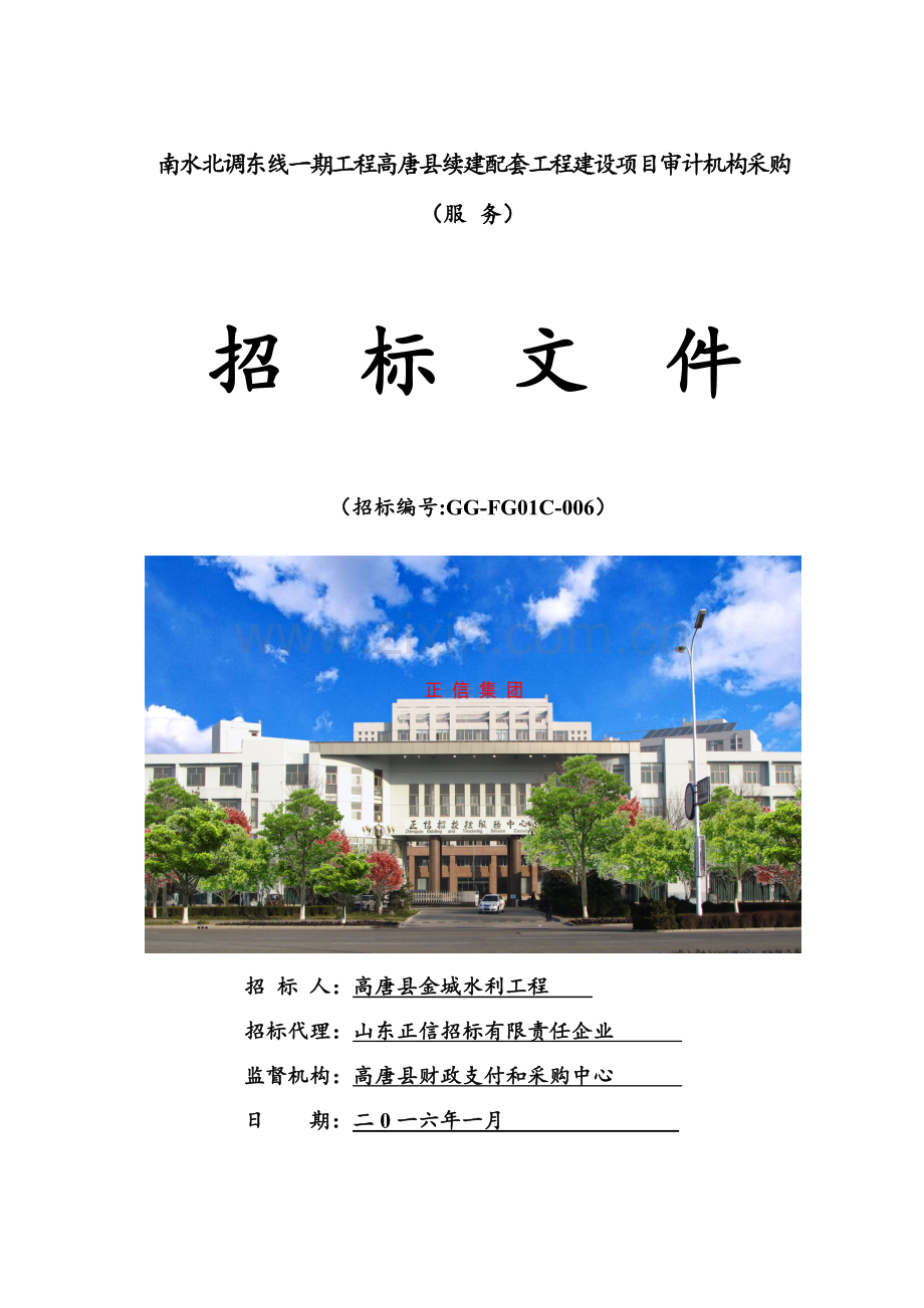 县续建配套工程建设项目审计机构采购招标文件模板.doc_第1页