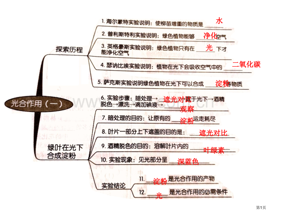 北师大版七上生物-期末复习知识点省公共课一等奖全国赛课获奖课件.pptx_第1页