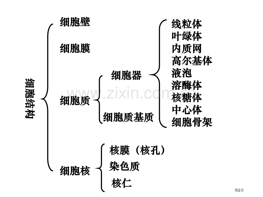 人教版教学细胞的结构细胞质和细胞核部分省公共课一等奖全国赛课获奖课件.pptx_第2页