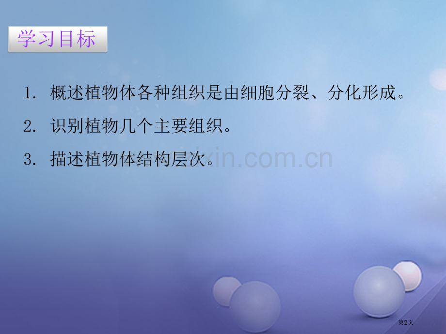 七年级生物上册第二单元第二章第三节植物体的结构层次讲义市公开课一等奖百校联赛特等奖大赛微课金奖PPT.pptx_第2页