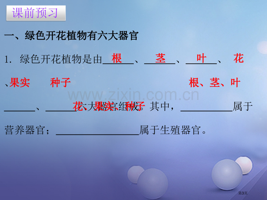 七年级生物上册第二单元第二章第三节植物体的结构层次讲义市公开课一等奖百校联赛特等奖大赛微课金奖PPT.pptx_第3页