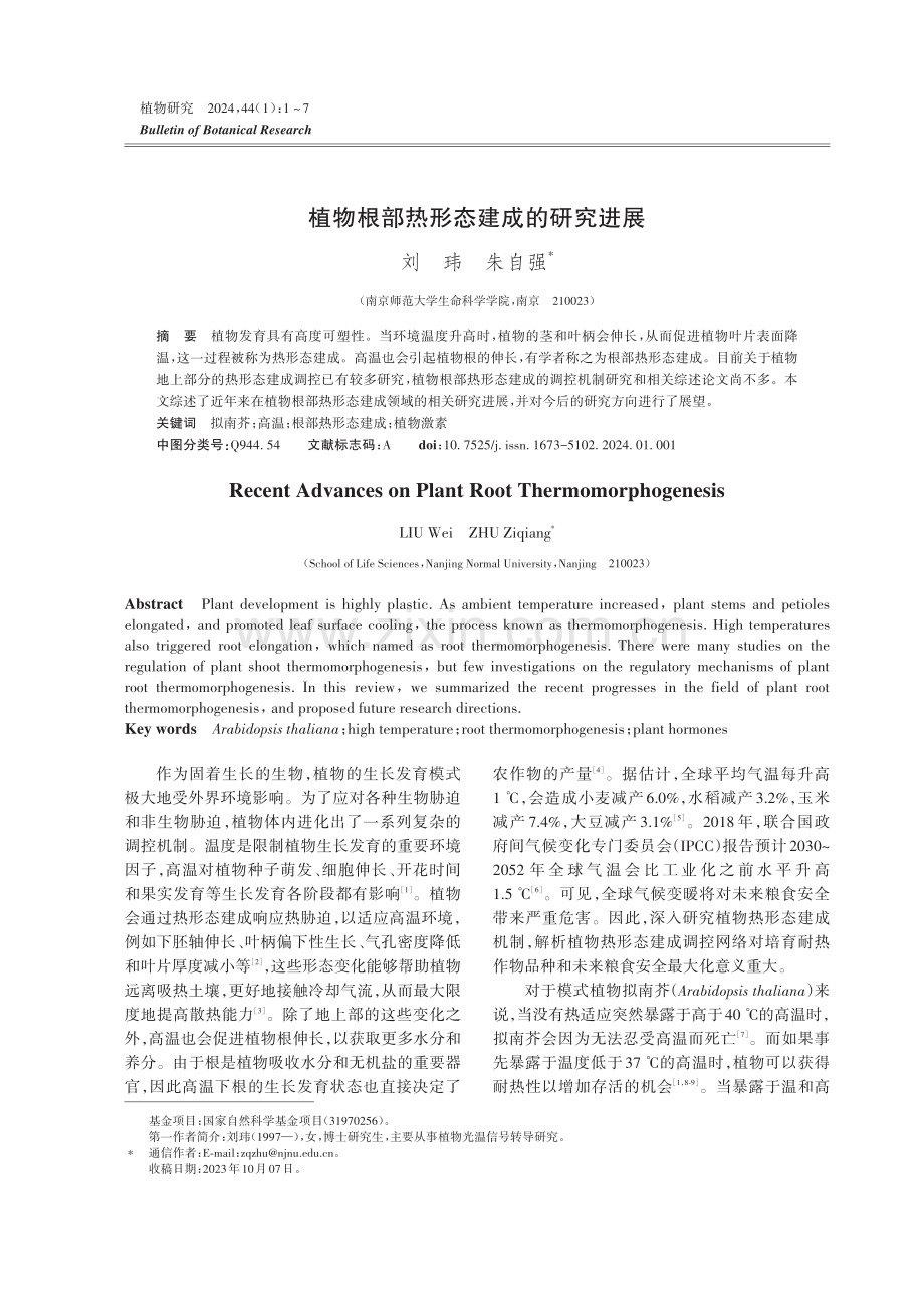 植物根部热形态建成的研究进展.pdf_第1页