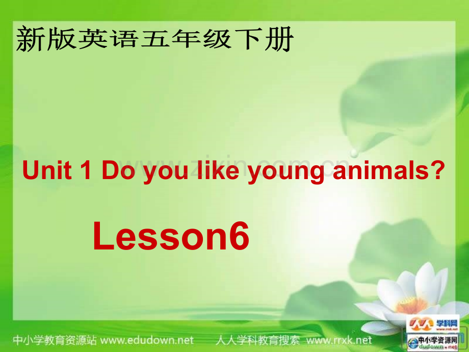 人教新版英语五下Unit1Doyoulikeyounganimalslesson6课件市公开课一等奖.pptx_第1页