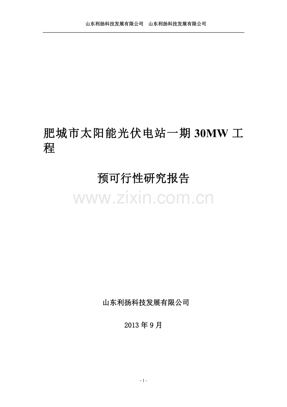 肥城市一期30mw工程预建设可行性研究报告.doc_第1页