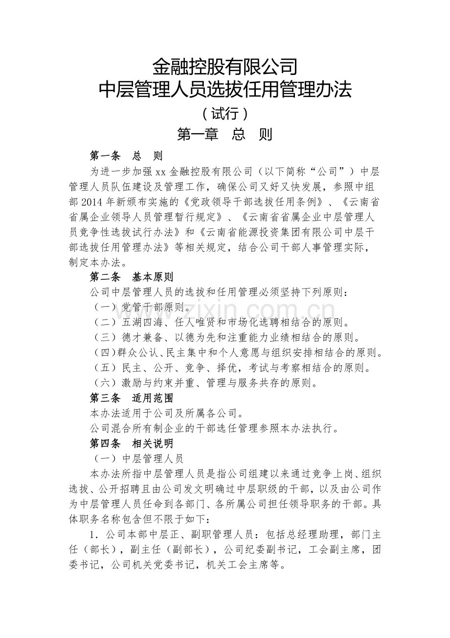 金融控股公司中层管理人员选拔任用管理办法模版.docx_第1页