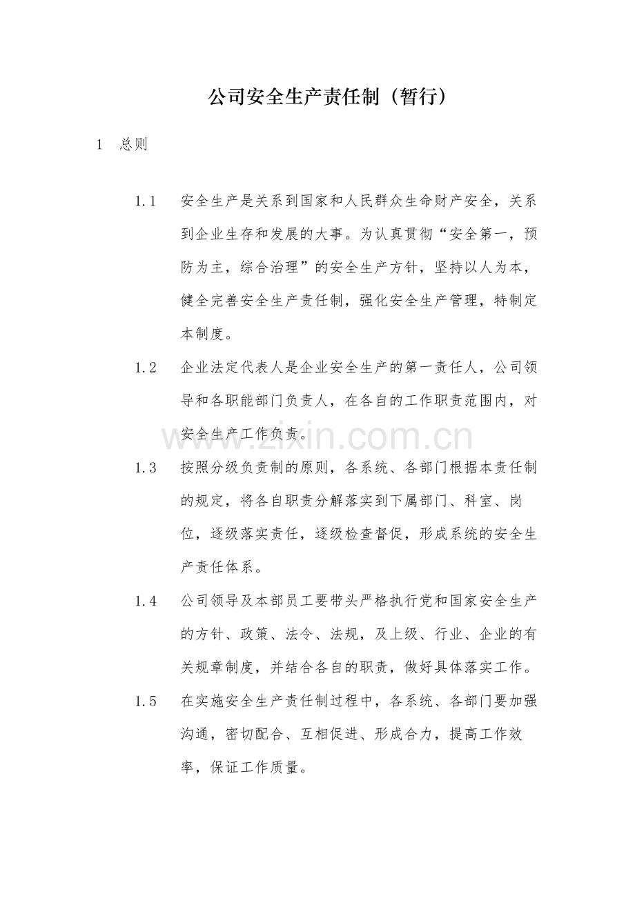 国有公司安全生产责任制(暂行)-模版.docx_第1页