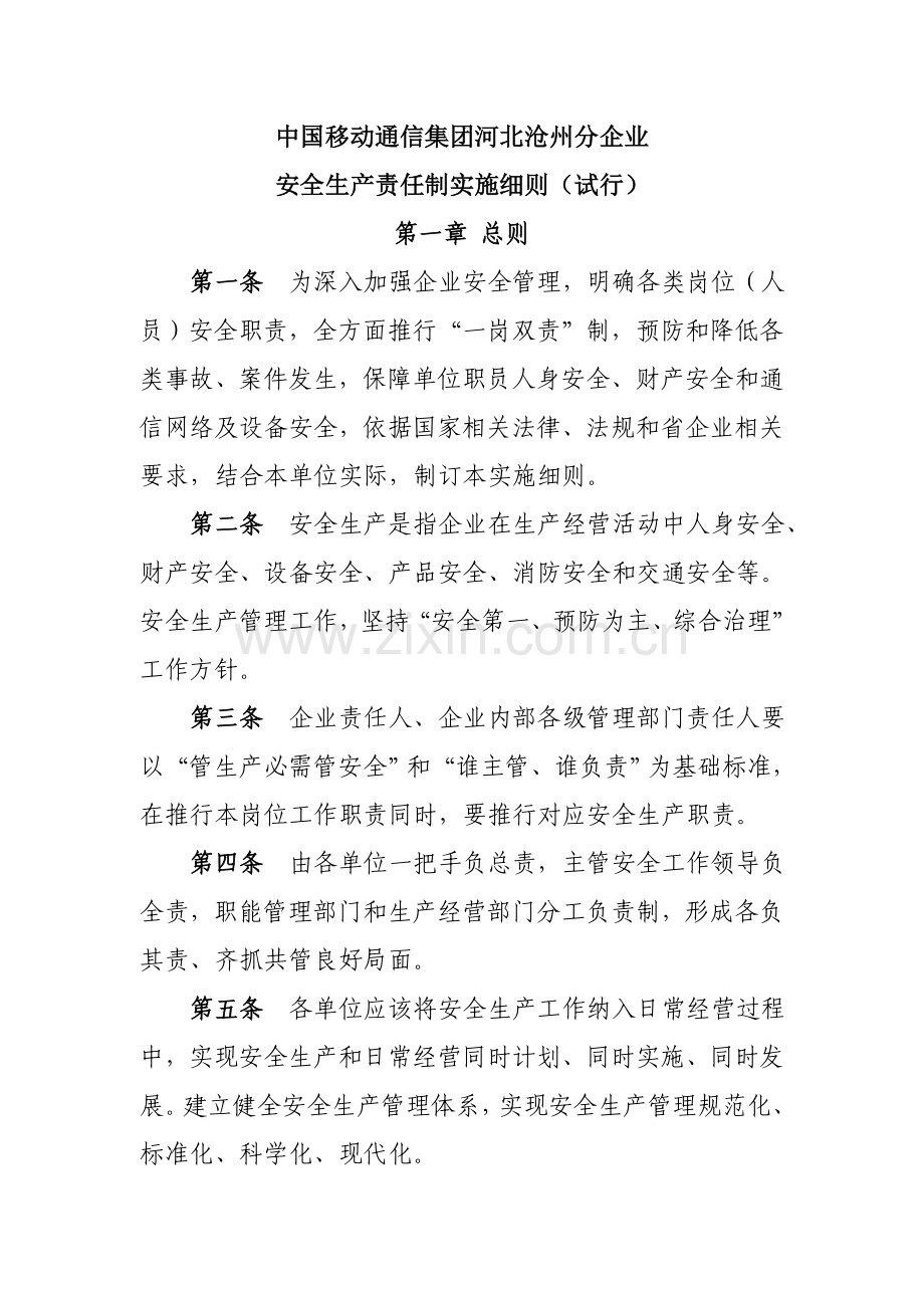 中国移动通信河北有限公司沧州分公司安全生产责任制实施细则试行模板.doc_第1页