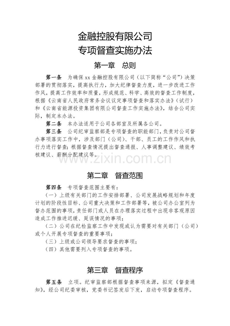 金融控股公司专项督查实施办法模版.docx_第1页