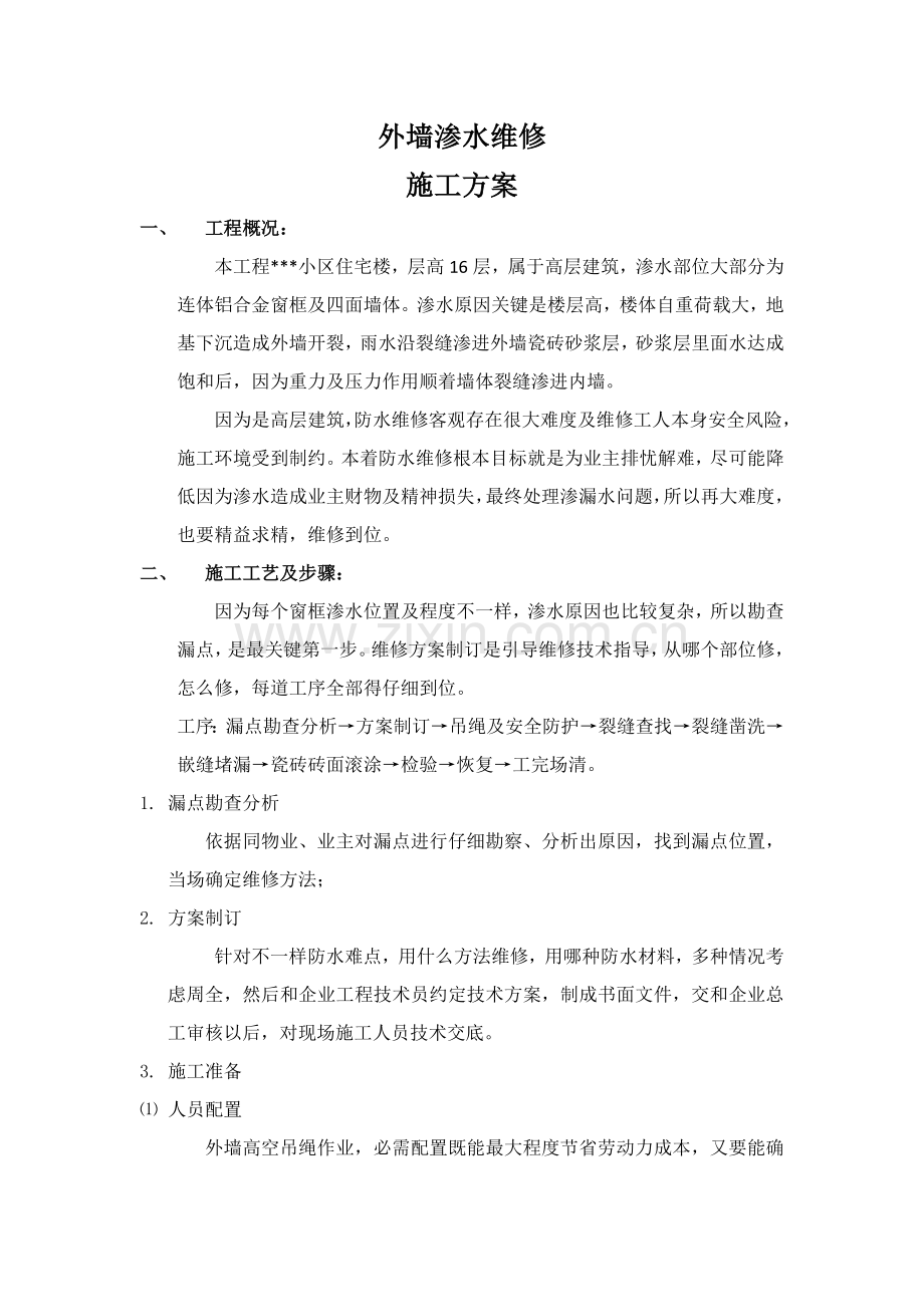 墙体渗水维修综合标准施工专业方案.docx_第1页