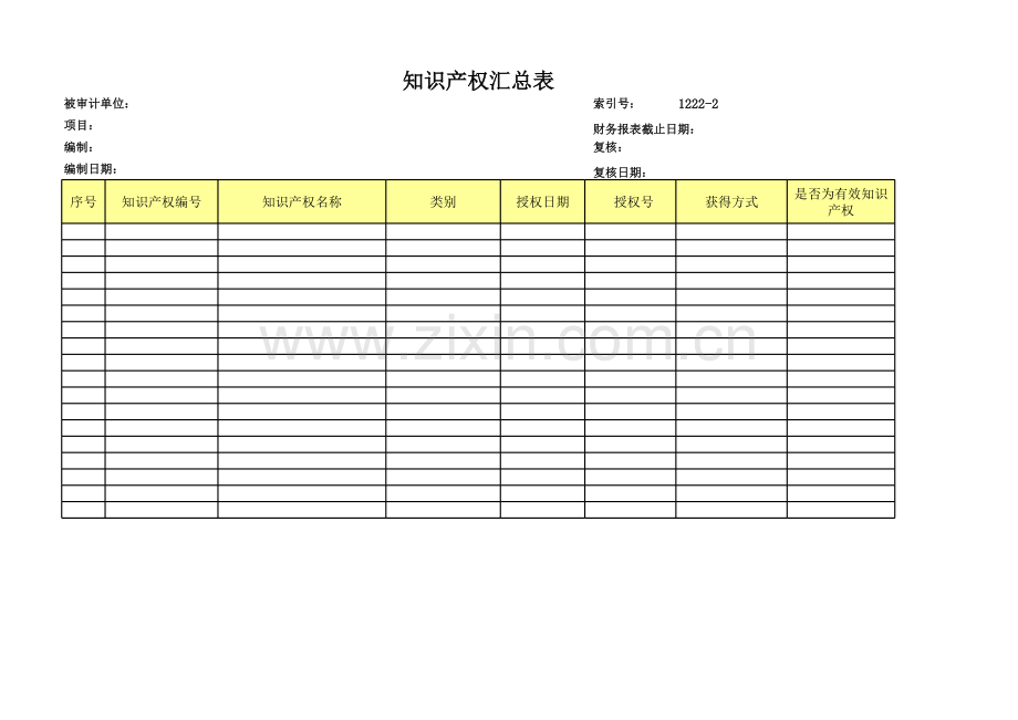 高新技术企业认定专项审计工作底稿及专项审计知识产权汇总表.xls_第1页