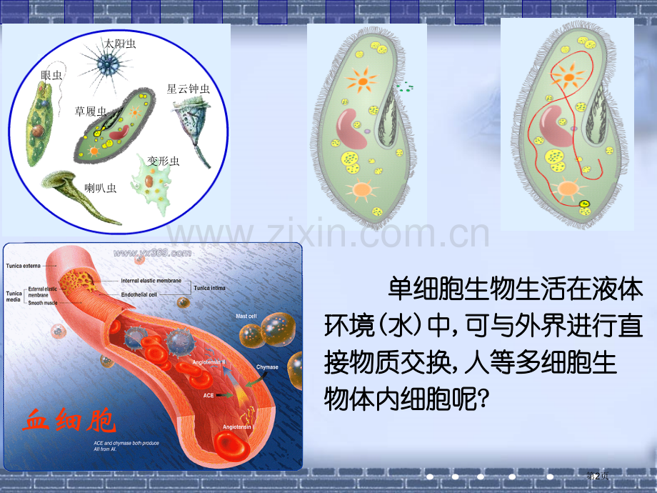 人教版教学内环境与稳态省公共课一等奖全国赛课获奖课件.pptx_第2页