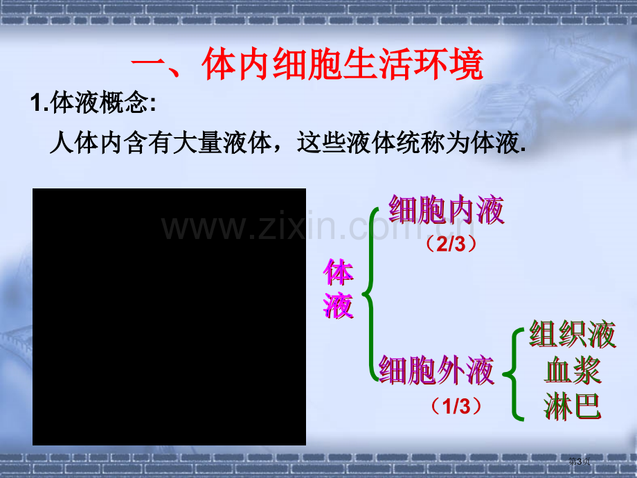 人教版教学内环境与稳态省公共课一等奖全国赛课获奖课件.pptx_第3页