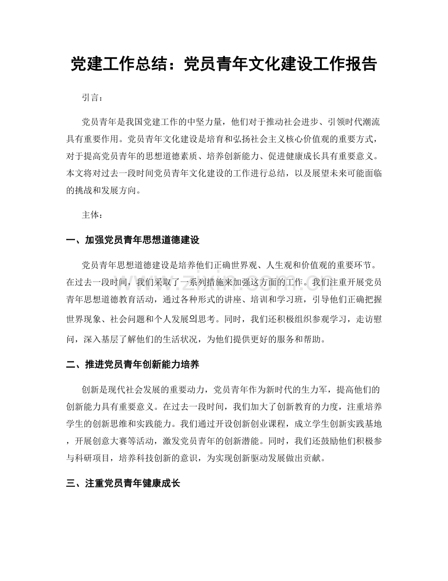 党建工作总结：党员青年文化建设工作报告.docx_第1页