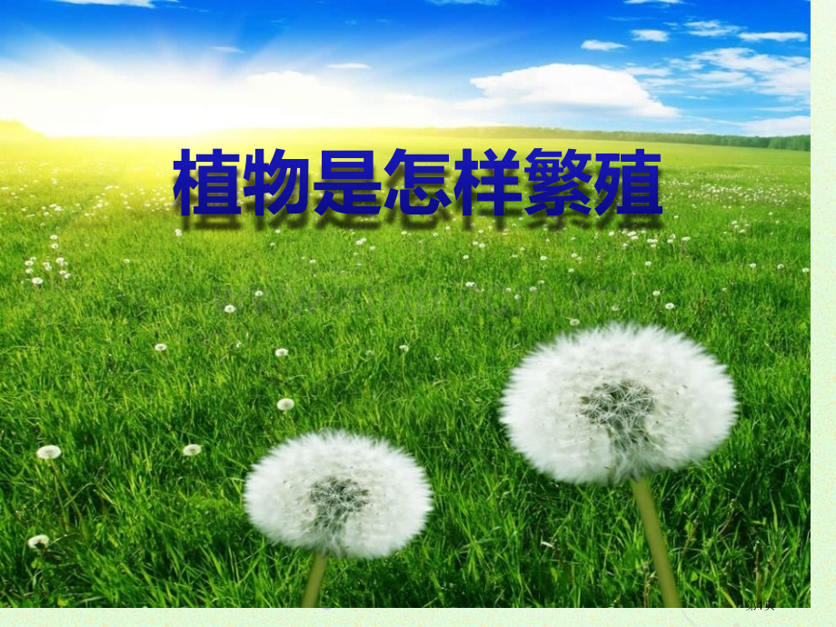 人教版科学六上植物是怎样繁殖的省公开课一等奖新名师优质课比赛一等奖课件.pptx_第1页