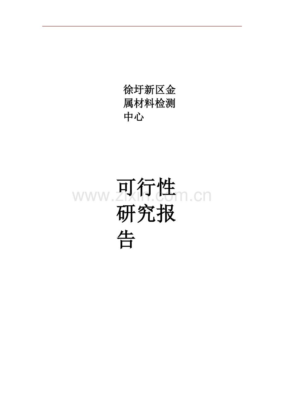 徐圩新区金属材料检测中心项目可行性研究报告.doc_第1页