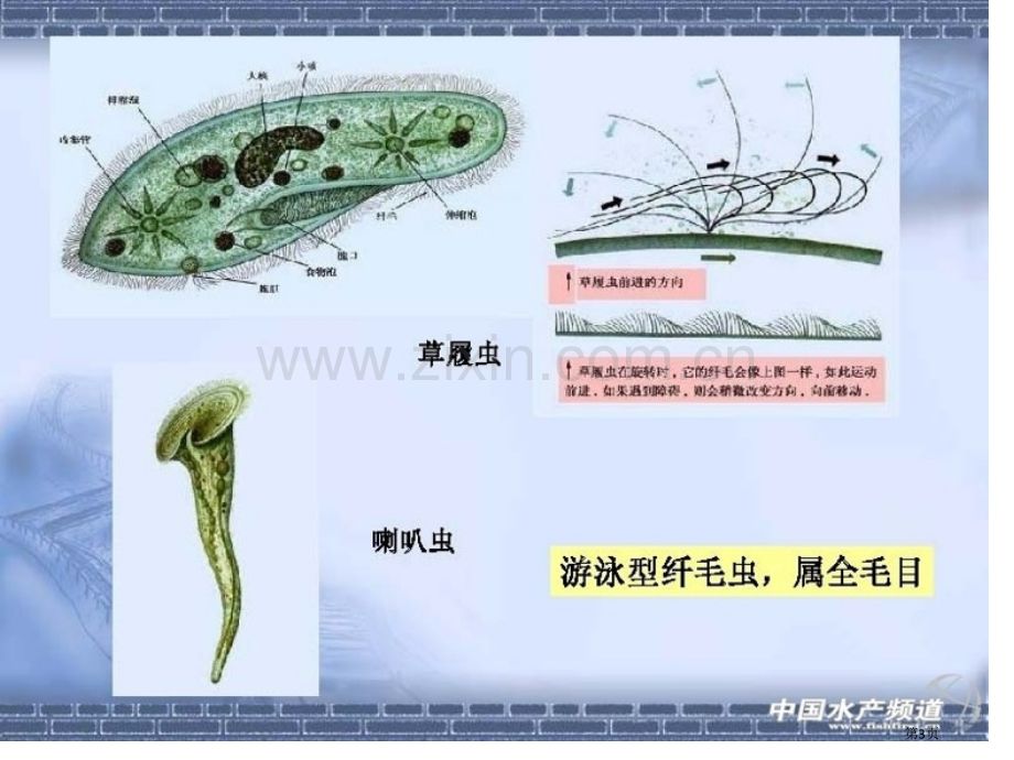 六年级上册科学复习知识点真题答案省公共课一等奖全国赛课获奖课件.pptx_第3页