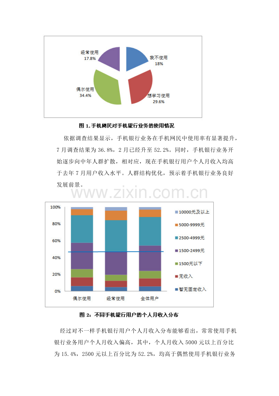 手机银行市场调研研究报告.doc_第3页