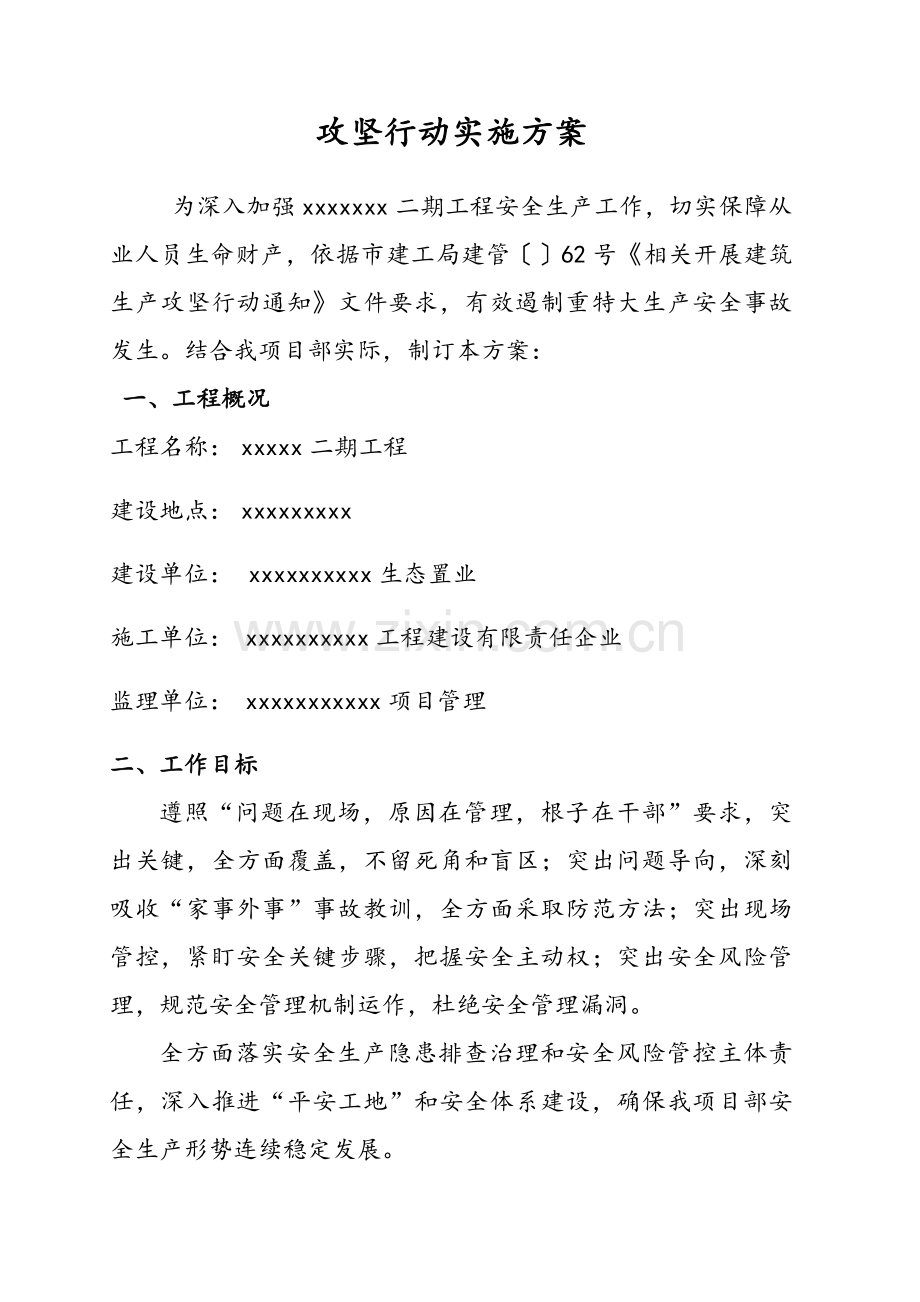 安全生产隐患排查治理攻坚行动实施专业方案.docx_第2页