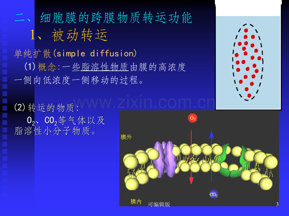 细胞膜及跨膜信号通讯.ppt_第3页