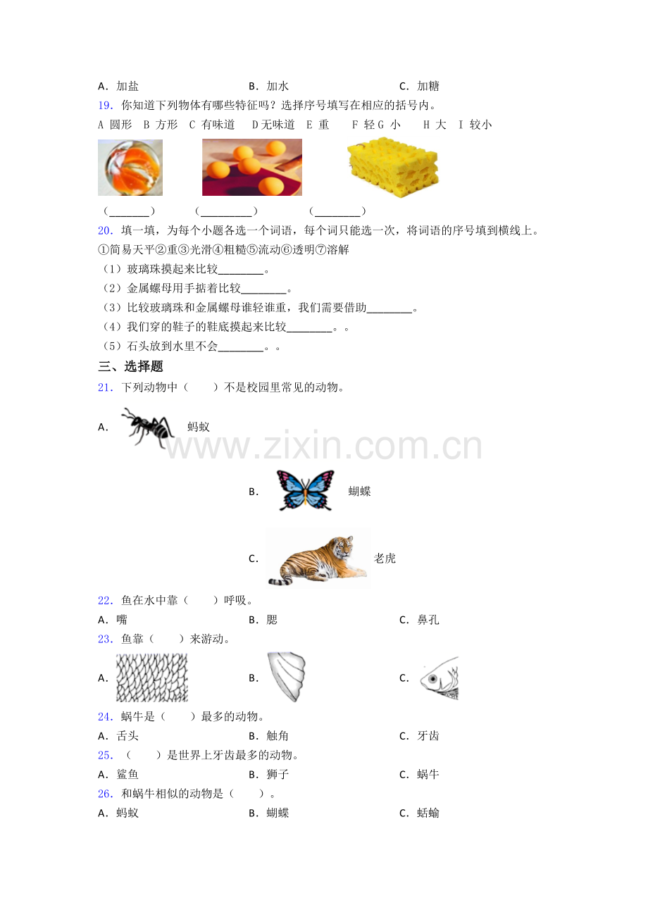 教科版一年级下册科学期末试卷综合测试卷(word含答案).doc_第3页