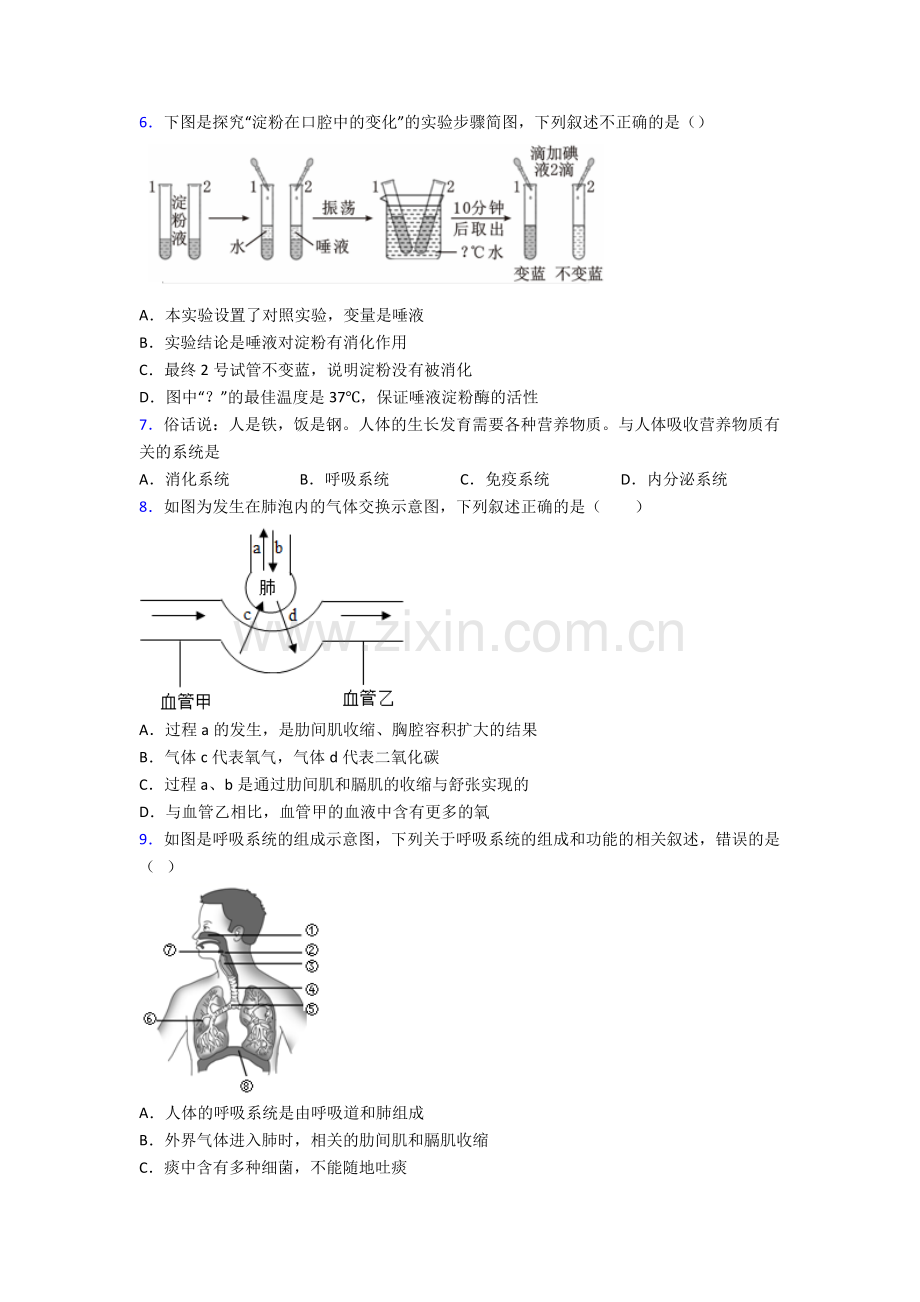 人教七年级下册生物期末学业水平(及答案)完整.doc_第2页