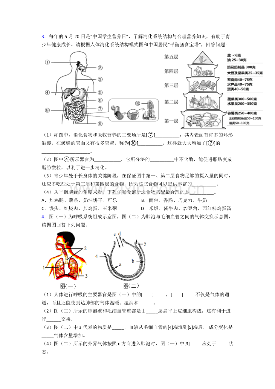 人教版初一下册生物期末解答实验探究大题综合复习试卷附答案.doc_第2页