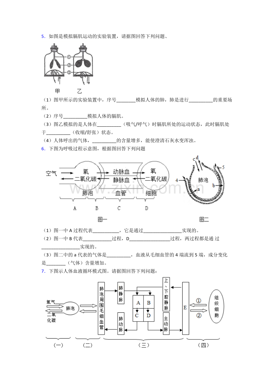 人教版初一下册生物期末解答实验探究大题综合复习试卷附答案.doc_第3页