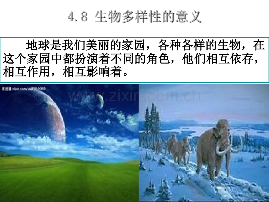 六年级科学上册---生物多样性的意义.ppt_第2页