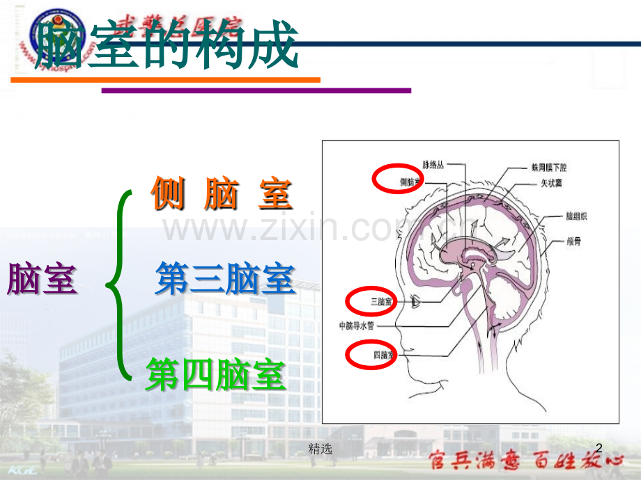 脑室系统解剖.ppt_第2页