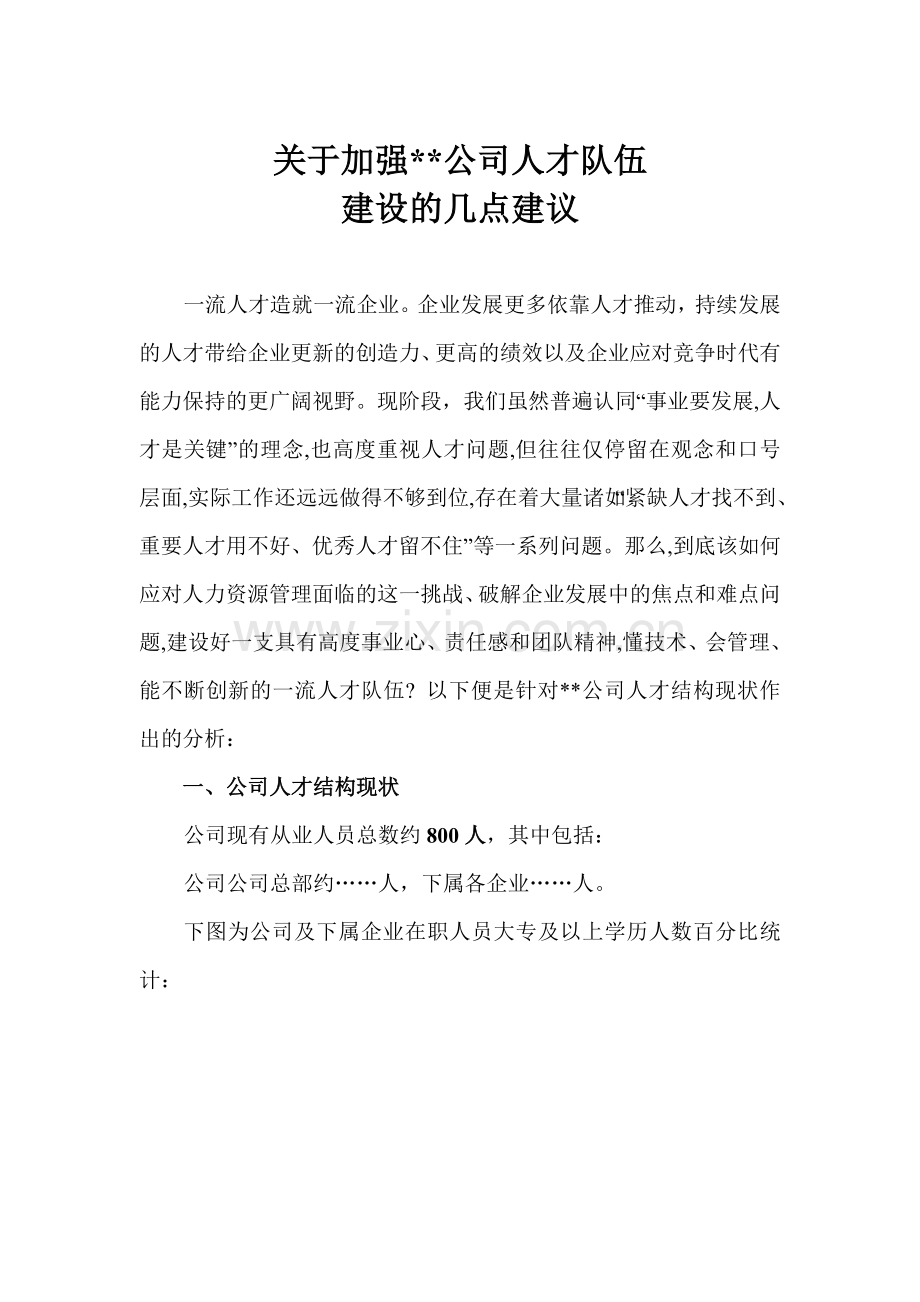 加强公司人才队伍建设的建议.doc_第1页