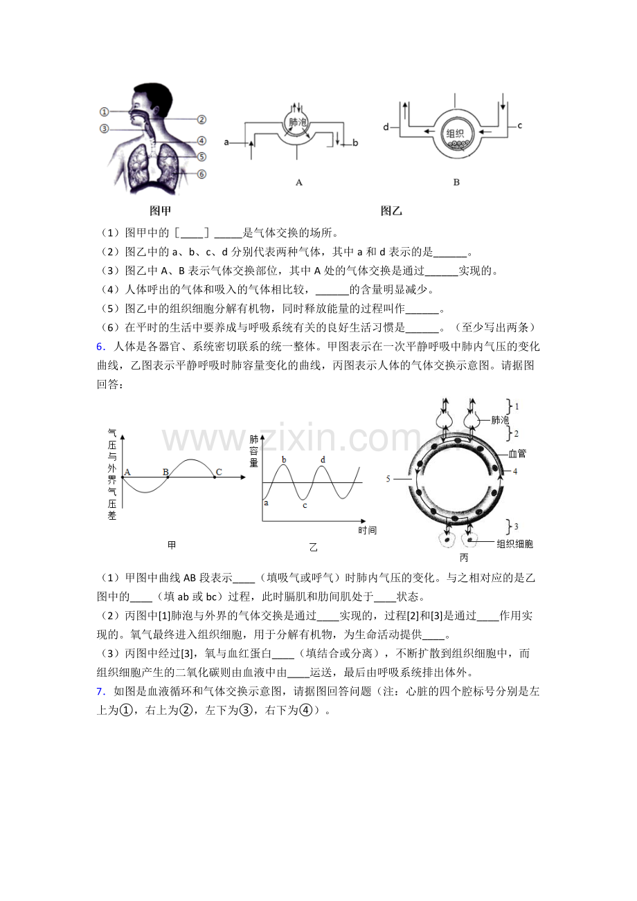 人教版中学七年级生物下册期末解答实验探究大题测试及解析word.doc_第3页