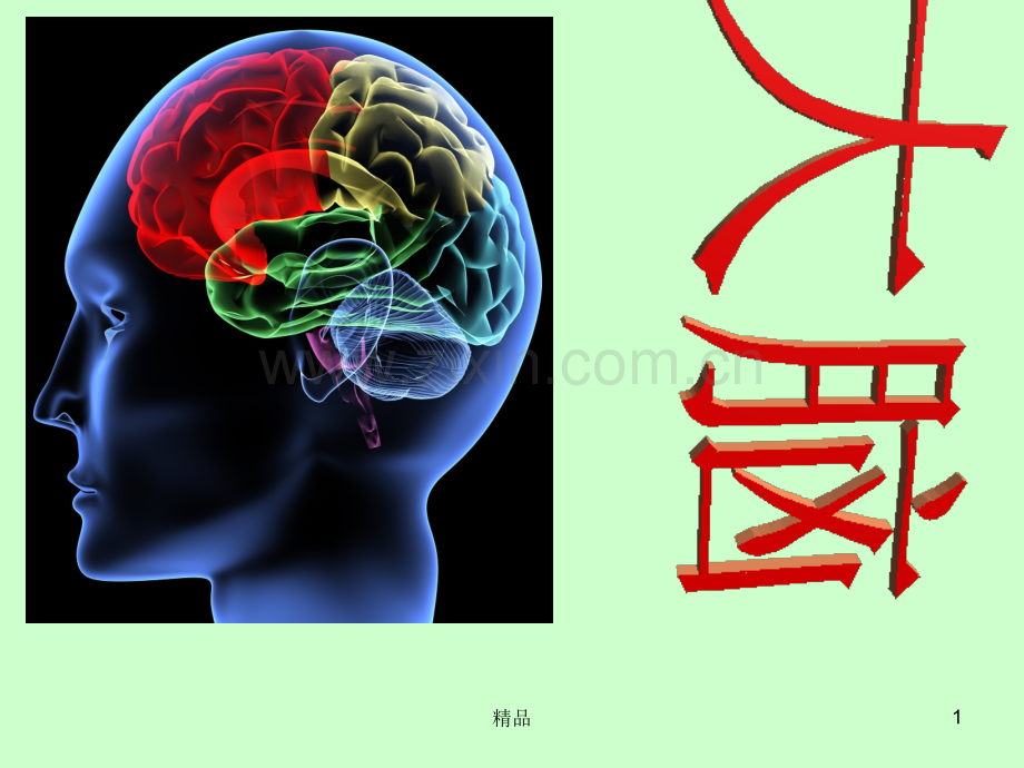 苏教版五年级科学《大脑》1.ppt_第1页