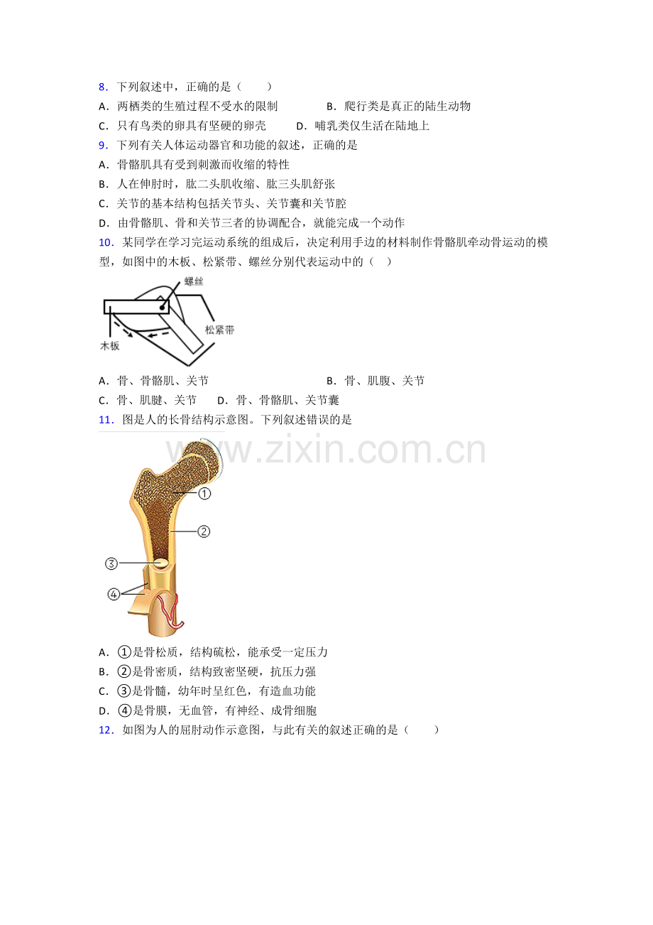 上海华东师范大学第二附属中学生物八年级上册期末试卷[001].doc_第2页