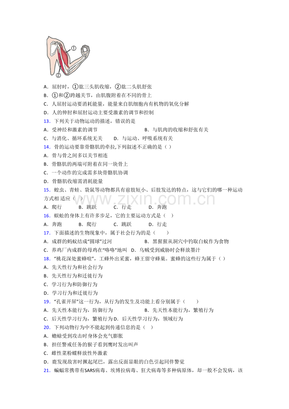 上海华东师范大学第二附属中学生物八年级上册期末试卷[001].doc_第3页