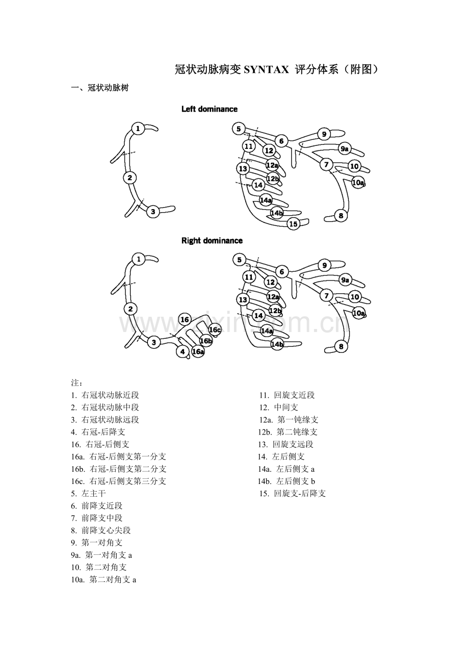 冠脉病变SYNTAX-评分附图.doc_第1页