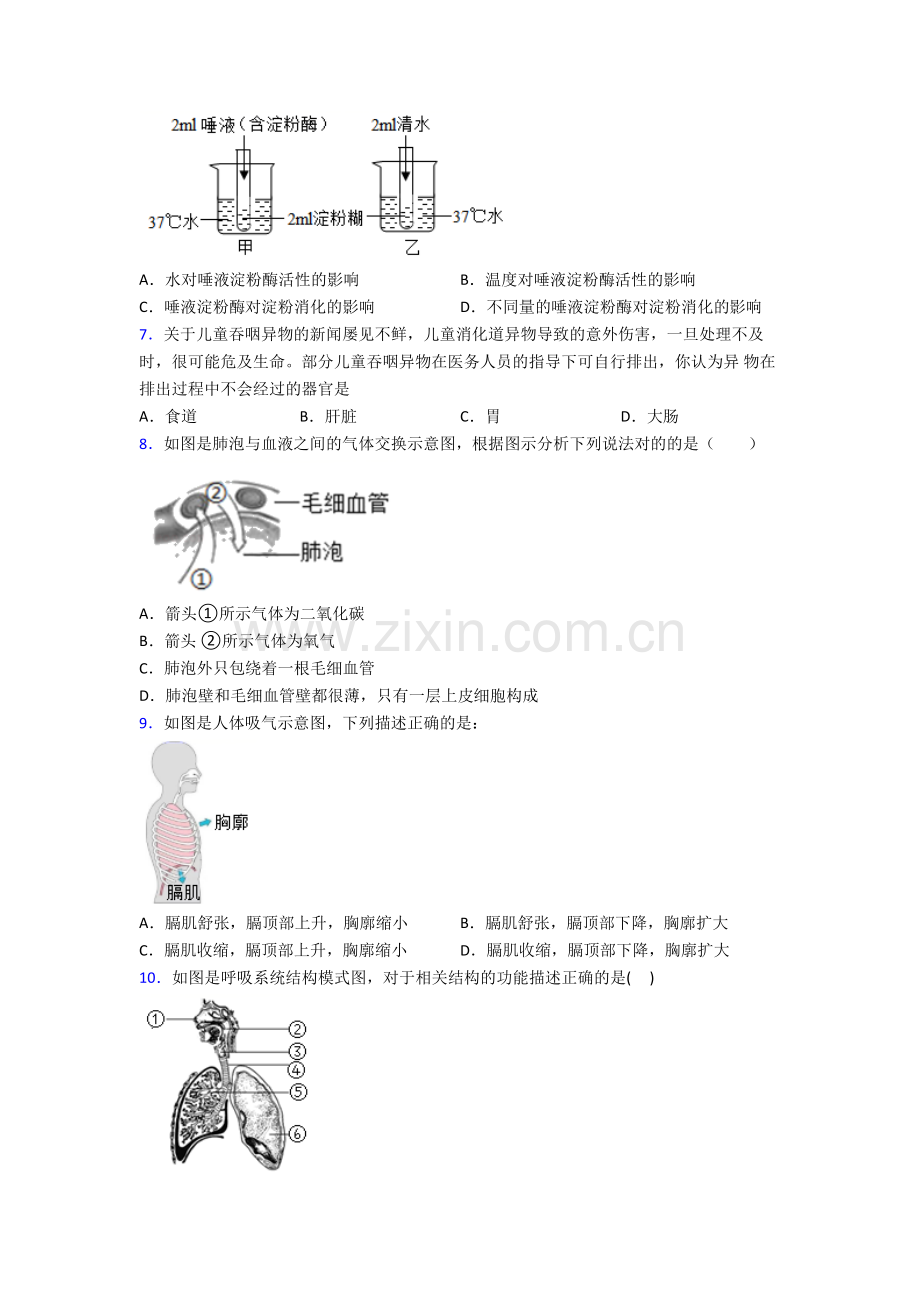 人教中学七年级下册生物期末测试题及解析图文.doc_第2页