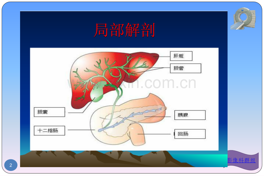 胆总管分段.ppt_第2页