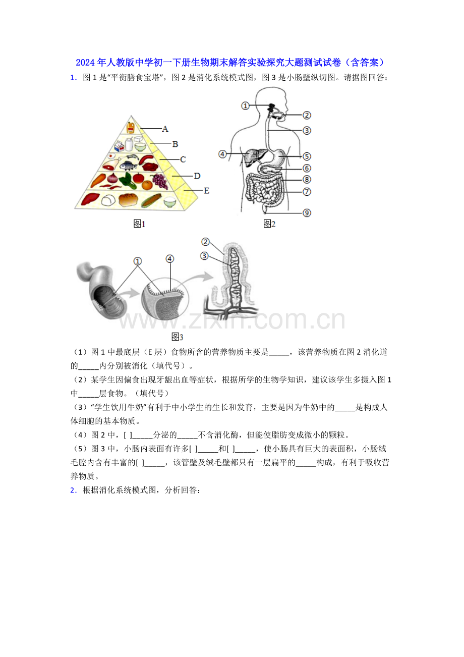 2024年人教版中学初一下册生物期末解答实验探究大题测试试卷(含答案).doc_第1页