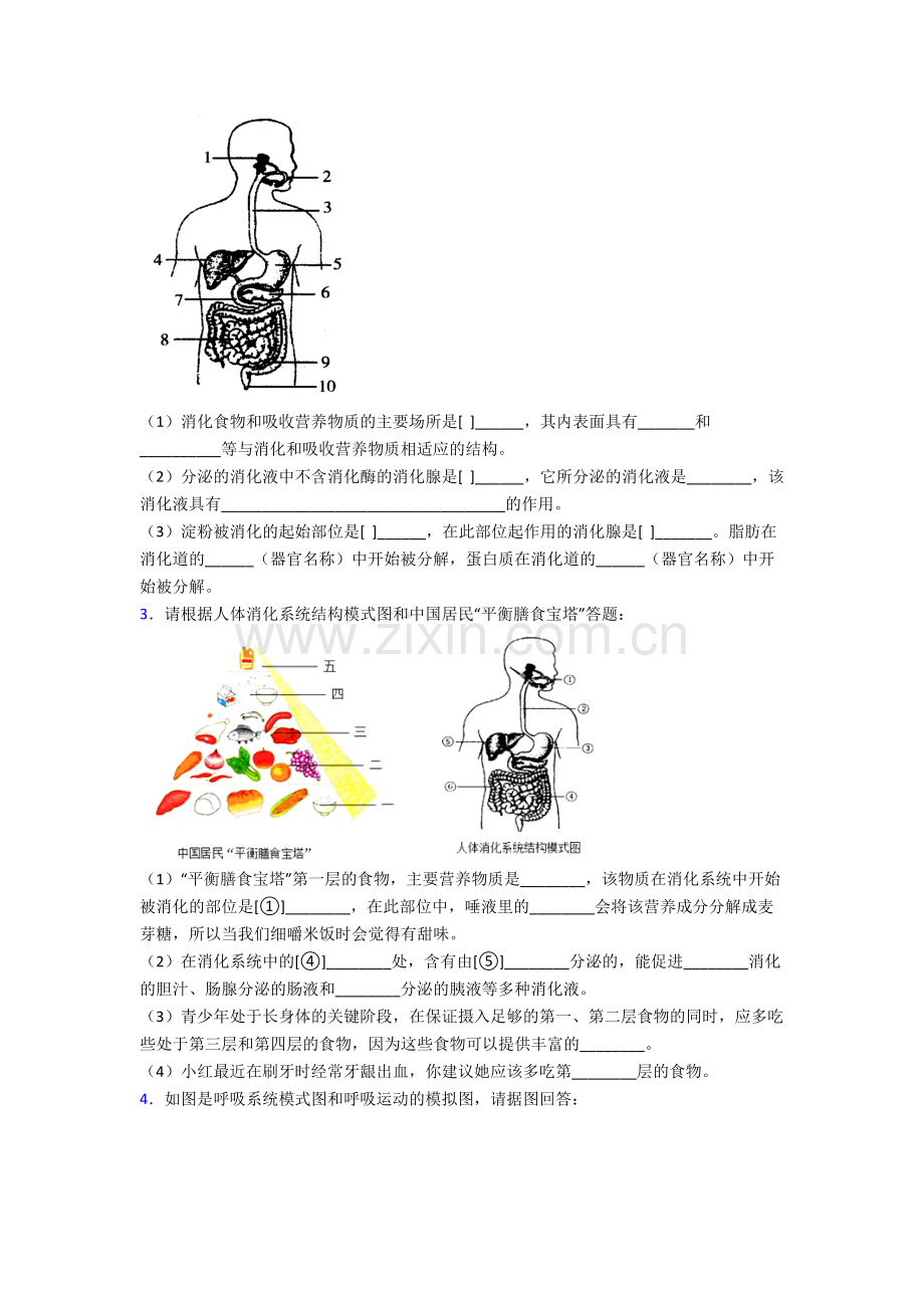 2024年人教版中学初一下册生物期末解答实验探究大题测试试卷(含答案).doc_第2页