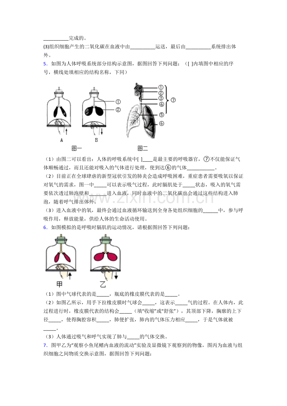 2023年人教版中学初一下册生物期末解答实验探究大题试卷附解析.doc_第3页