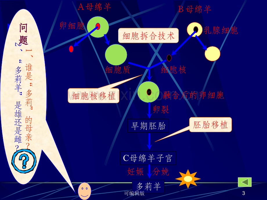 细胞核是遗传的信息库.ppt_第3页