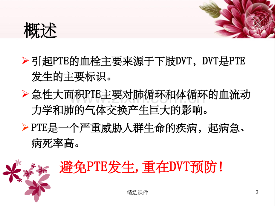 《DVT下肢静脉血栓的预防及护理》.ppt_第3页